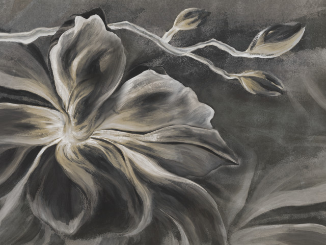 Tapeta Flower Eye