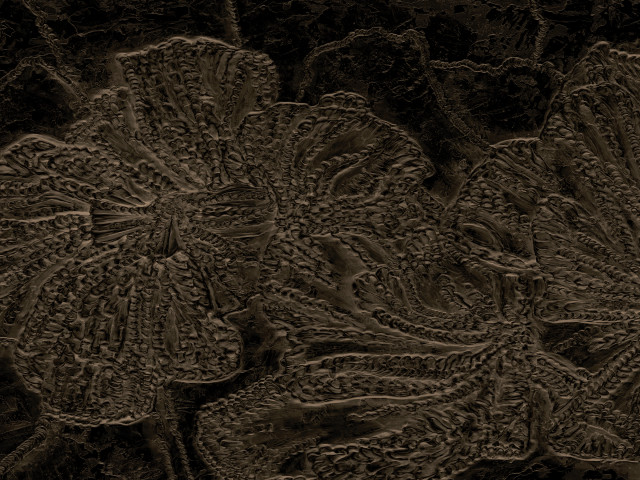 Tapeta Pressed Form