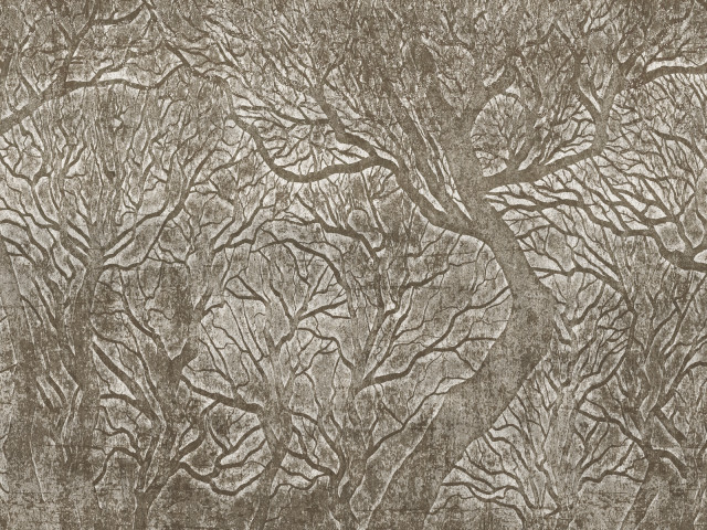 Tapeta Frozen Canopy 2