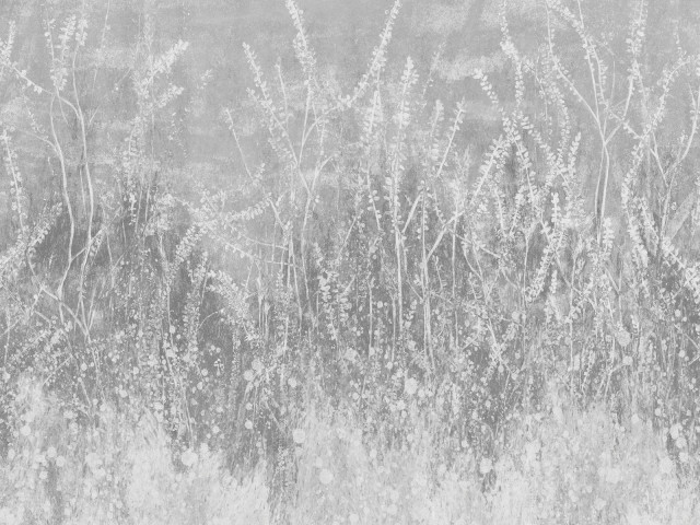 Tapeta Golden Reeds 2