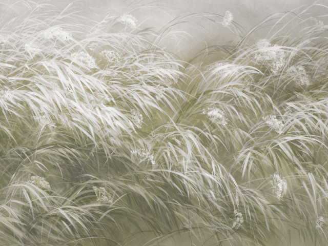 Tapeta Soft Rattle 3