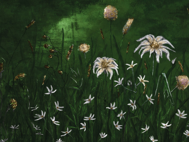 Tapeta Cold Flowers 4